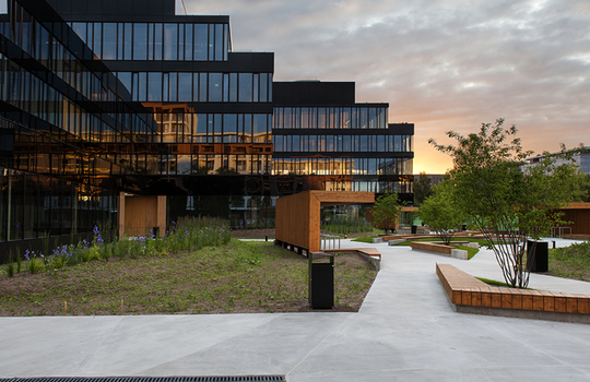 Poland ideal for development of Olympus